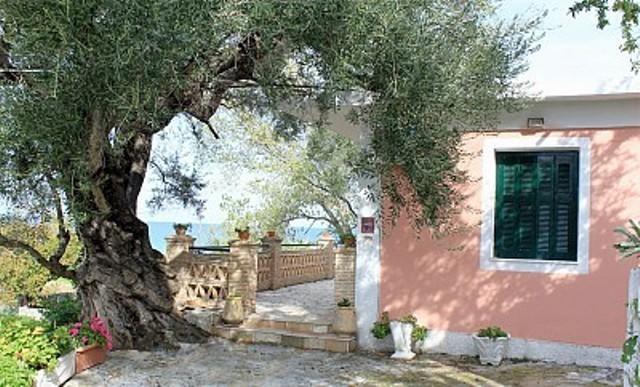 Tonias - Thea House And Vrachos Attic *